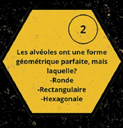Enigme2