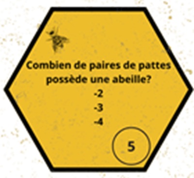 visu enigme5
